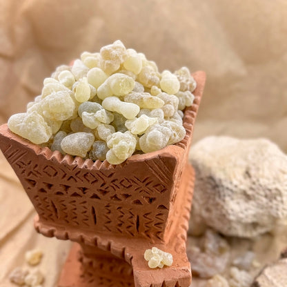True Green Boswellia Sacra